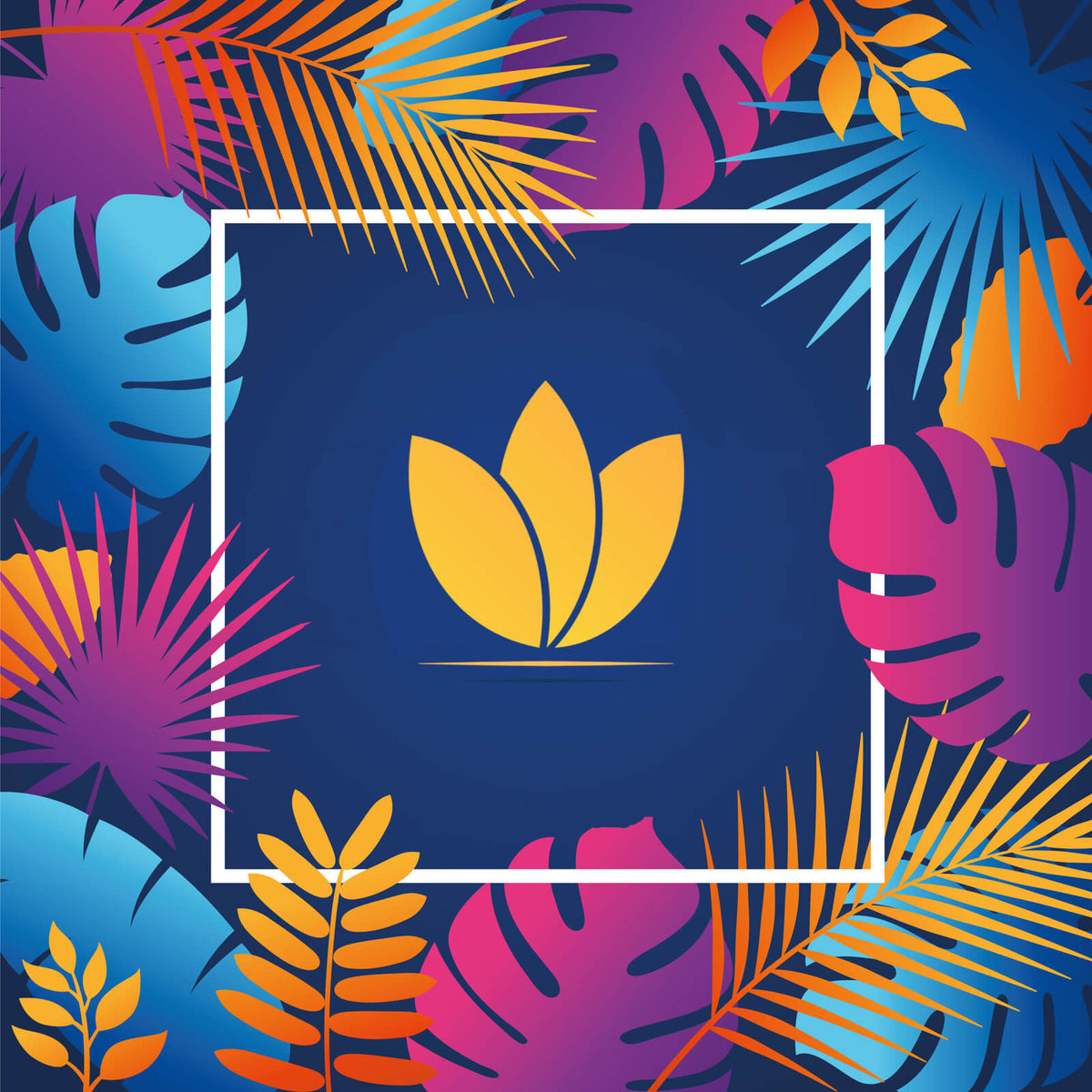 Promotions sur les pashminas, étoles et écharpes en cachemire et soie