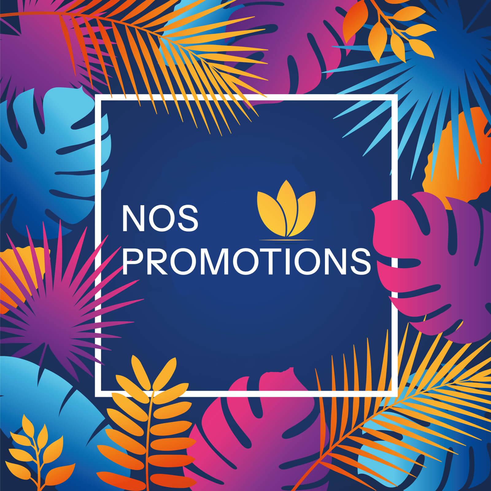 Promotions sur les pashminas, étoles et écharpes en cachemire et soie